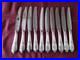 10-Couteaux-de-table-metal-argente-Orfevre-Ercuis-modele-pompadour-01-yqx