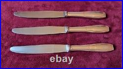 12 Couteaux Christofle de table Métal argenté modèle Citra Saigon 24,5cm