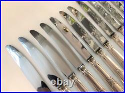 12 couteaux à entremet ERCUIS métal argenté Modèle LAURIER couverts 20,5 cm gs