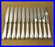 12-grands-couteaux-de-table-CHRISTOFLE-modele-SPATOURS-metal-argente-24-5-cm-01-ydh