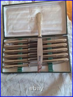 12 grands couteaux modèle Empire métal argenté 26 cm