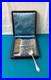 12-petites-cuilleres-BOULENGER-modele-TULIPE-metal-argente-ART-NOUVEAU-14-cm-01-jibc