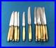 6-6-couteaux-manches-corne-Bagues-metal-argente-Lames-inox-Modele-COQUILLE-01-pc