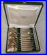 Christofle-12-Cuilleres-A-Glace-Metal-En-Argente-Modele-Boreal-En-Coffret-01-ez