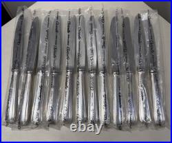 Christofle France 12 Couteaux De Table Métal Argenté Modèle America Neuf Blister
