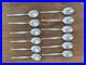Christofle-modele-Duo-12-cuilleres-de-table-metal-argente-01-scy