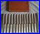 Coffret-12-couteaux-vintage-en-metal-argente-lames-inox-Modele-filets-perles-01-vf