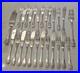 ERCUIS-12-couverts-a-poisson-en-metal-argente-modele-Vendome-26-Pieces-01-mpnu