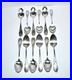 Lot-12-cuilleres-a-dessert-en-metal-argente-APOLLO-modele-Rocaille-01-nya